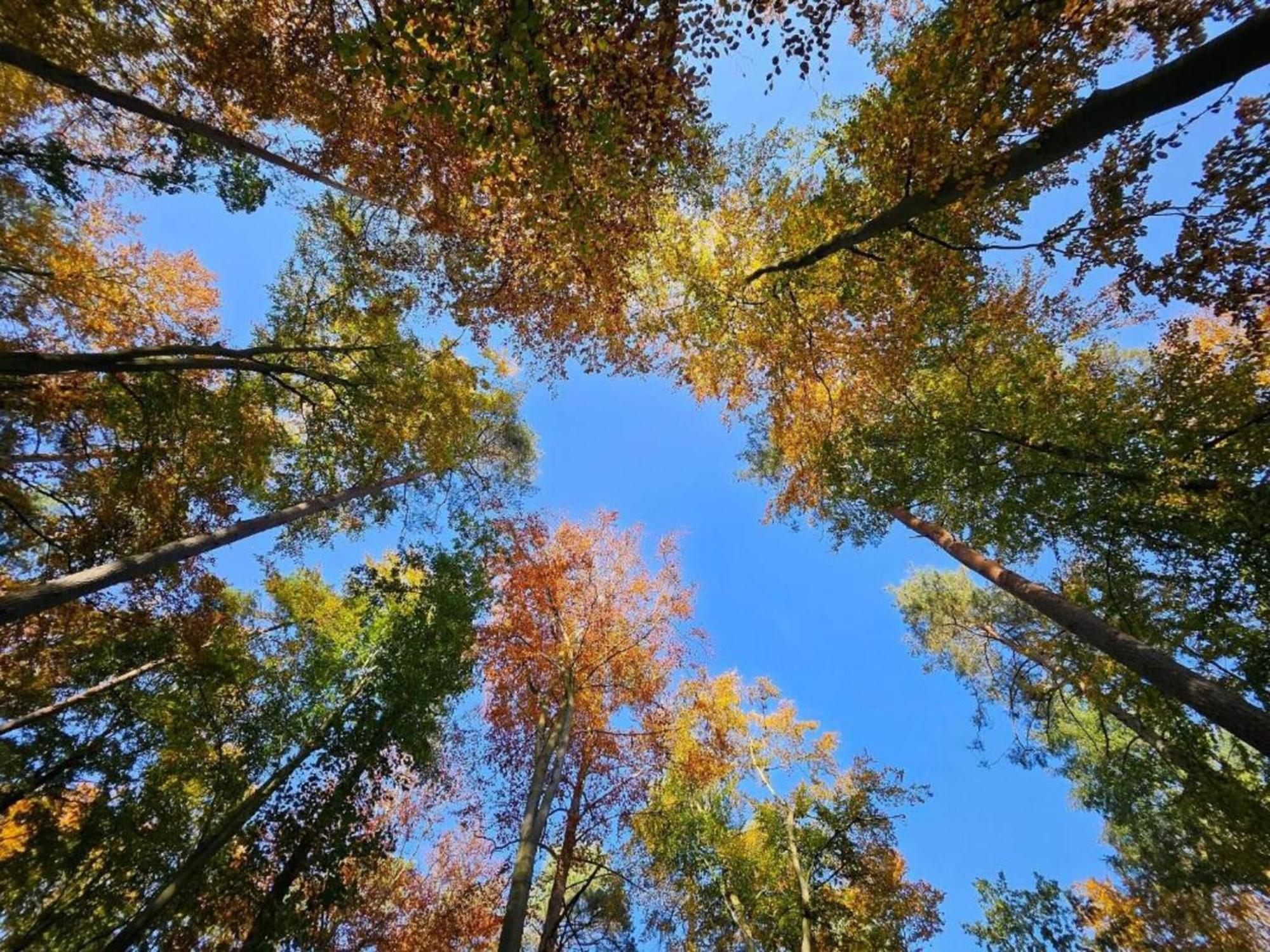 Ferienpark Mueritz In Rechlin-Nord Εξωτερικό φωτογραφία